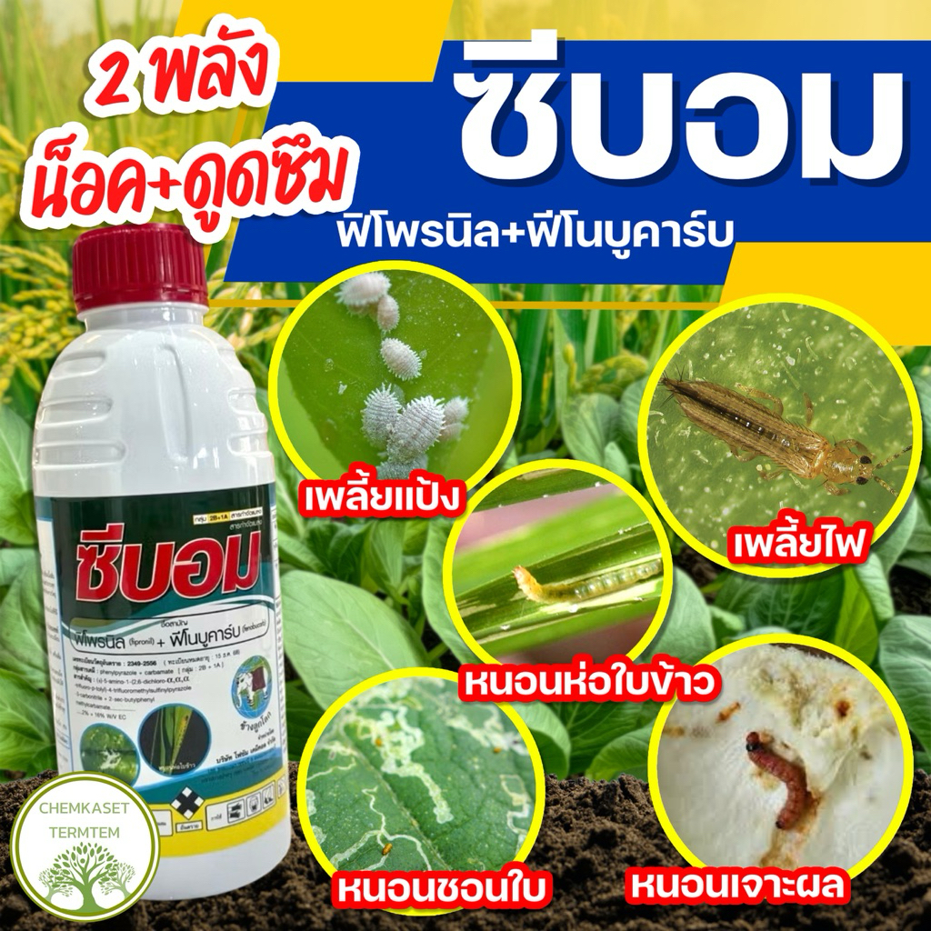 ซีบอม ขนาด 1 ลิตร(ฟีโนบูคาร์บ+ฟิโพรนิล)สูตรพิเศษ 🐛สารป้องกันกำจัดแมลงเพลี้ย หนอนกอ หนอนม้วนใบ