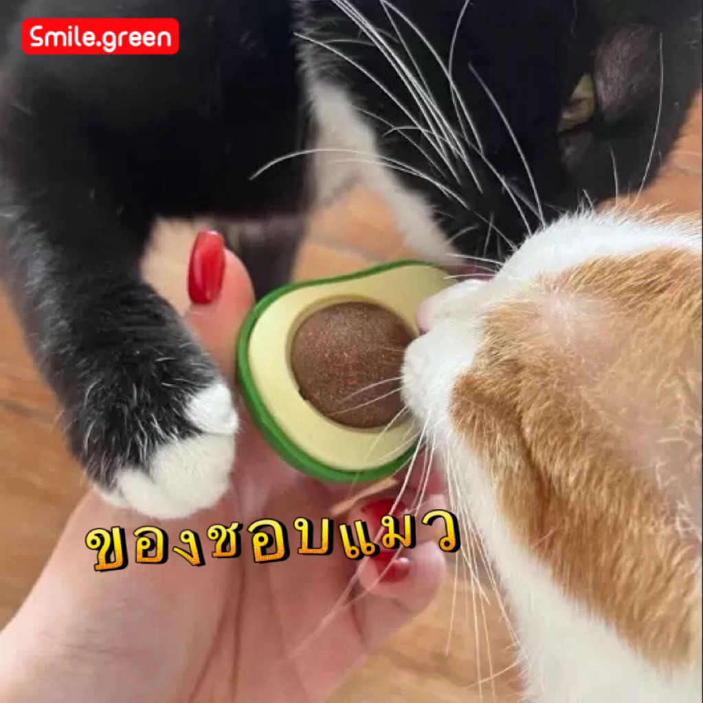กัญชาแมว Catnip Ball ลูกกลมแคนดี้สำหรับแมว หญ้าแมว ของเล่นแมว ปลอดภัย ช่วยผ่อนคลาย ลดความเครียด - รูปที่ 3