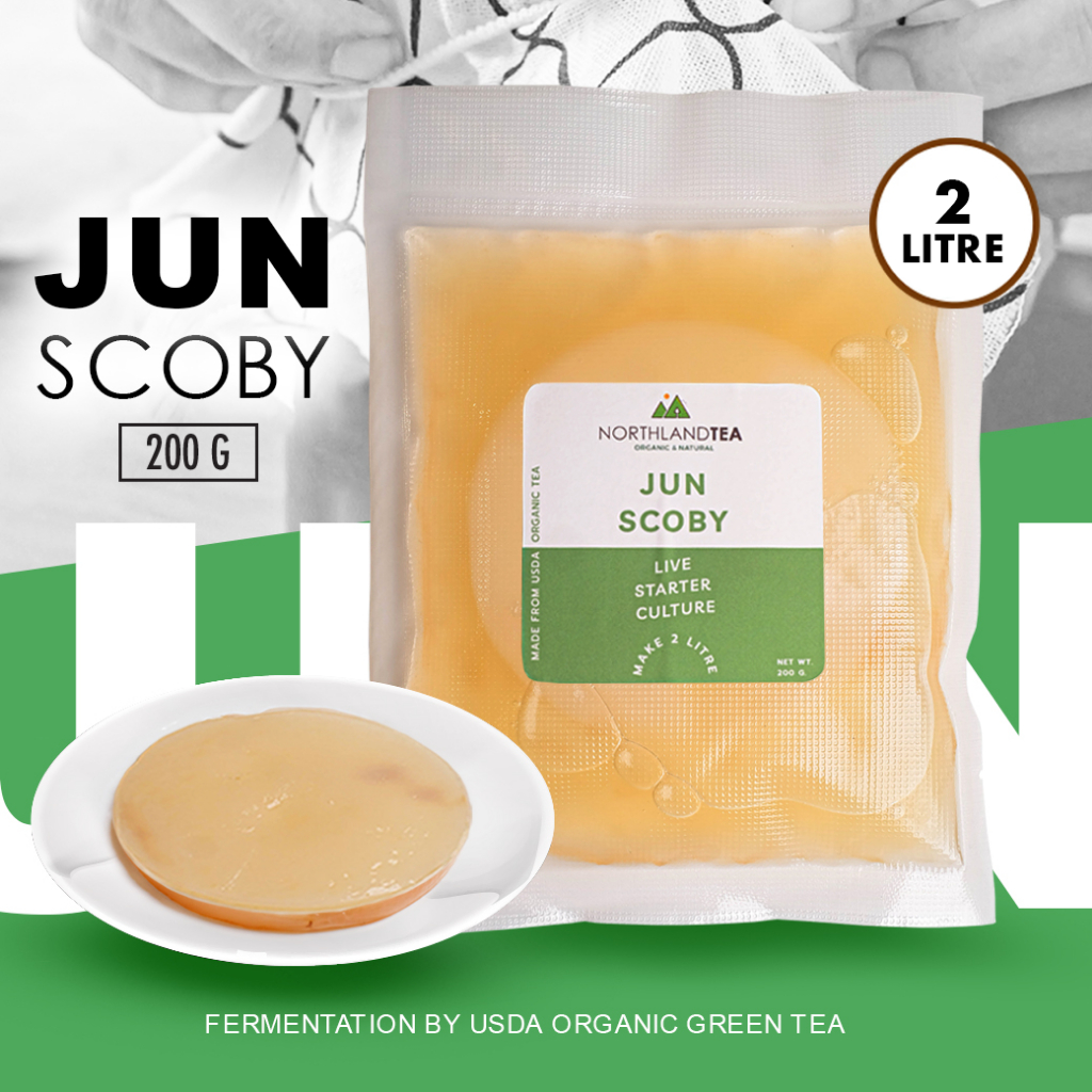 Northlandtea - Organic Jun SCOBY 200 ml - สโคบี้หัวเชื้อ พร้อมน้ำตั้งต้น ออร์แกนิคแท้  100%
