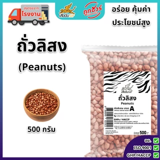 ถั่วลิสงดิบ 500 กรัม ตราเสือบิน | (Peanut Bean)