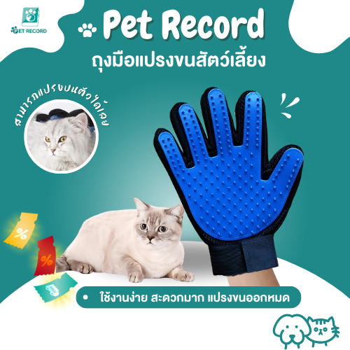 Pet Record ถุงมือแปรงขน. กำจัดขนสัตว์เลียง หวีขนหมาและขนแมวถุงมือแปรงขนแมว สุนัข