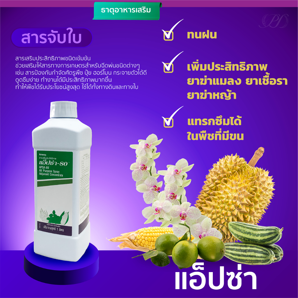 สารจับใบ แอมเวย์ แอ็ปซ่า 80 สารเสริมประสิทธิภาพ เข้มข้น 80% ขนาด 1 ลิตร