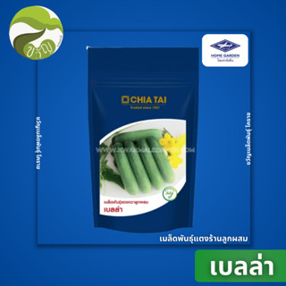 เมล็ดพันธุ์แตงกวาลูกผสม เบลล่า ลอตใหม่ ล่าสุด