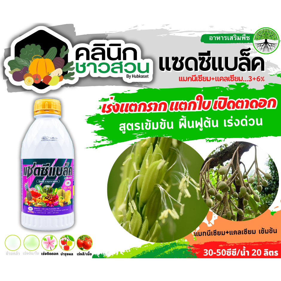 🥬 แซดซีแบล็ค (แมกนีเซียม+แคลเซียม) บรรจุ 1ลิตร สูตรเข้มข้น ฟื้นฟูต้น เร่งด่วน แตกรากแตกใบ เร่งเขียว