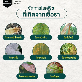 ProGarden ป้องกันและกำจัดเชื้อรา (ชนิดผสมน้ำ) สารสกัดจากธรรมชาติ ไร้สารเคมี ใช้ได้กับพืชทุกชนิด