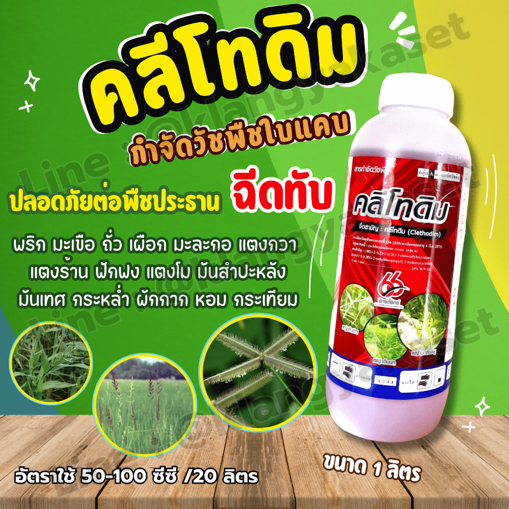 คลีโทดิม 1 ลิตร66 สารกำจัดวัชพืชใบแคบ ทุกชนิด การออกฤทธิ์ ดูดซึมและกำจัดวัชพืชภายหลังงอก ฉีดทับ พริก ถั่ว มะเขือ เผือก
