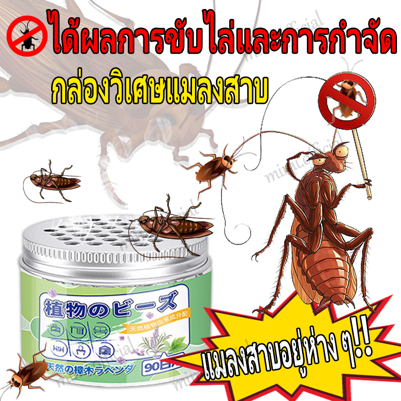 ไม่มีแมลงสาบ 1 ปี กําจัดแมลงสาบ ยากําจัดแมลงสาบ ไล่แมลงสาบ 100g สารสกัดจากพืช ไม่เป็นอันตราย อากาศสดชื่น + ไล่แมลงสาบ