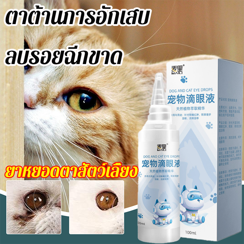 ขวดเดียวก็จบ ยาหยอดตาแมว สำหรับทำความสะอาดตาสุนัขและแมว ขจัดคราบน้ำตา ยาหยอดตาสุนัข น้ำยาเช็ดคราบน้ำตาแมว