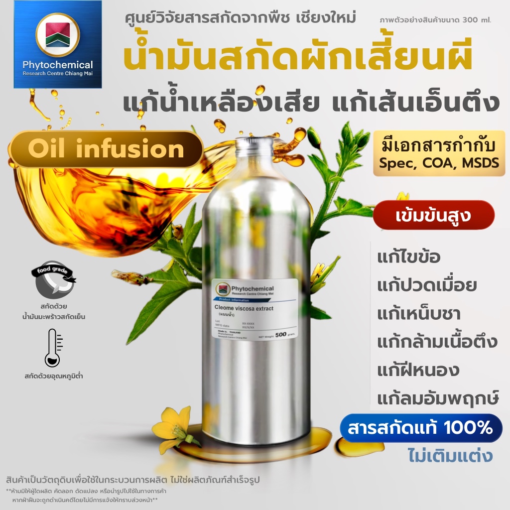 น้ำมันผักเสี้ยนผี(Oil infusion) Asian spider flower extract | สารสกัดจากพืช สารสกัดสมุนไพร 100% | เข้มข้นสูง 25-100 ml.