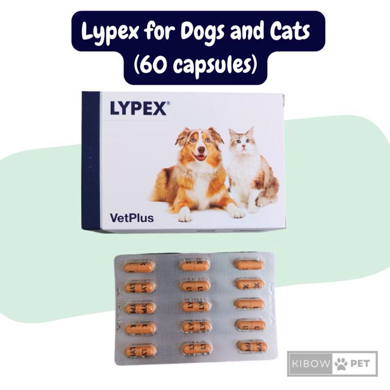 [VetPlus] LYPEX for Dogs & Cats(60 Capsules) Digestive enzyme nutritional supplements