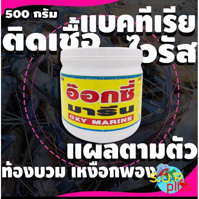 อุปกรณ์เลี้ยง กบ ปลา กุ้ง ตะพาบ เต่า พร้อมใช้งาน อ_x ( มr ) บรรจุขวดพลาสติกันน้ำ