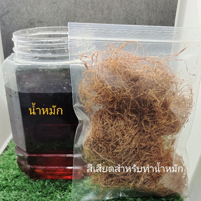 สีเสียด 20 กรัม (สำหรับทำน้ำหมัก1 ลิตรเลี้ยงปลากัด)