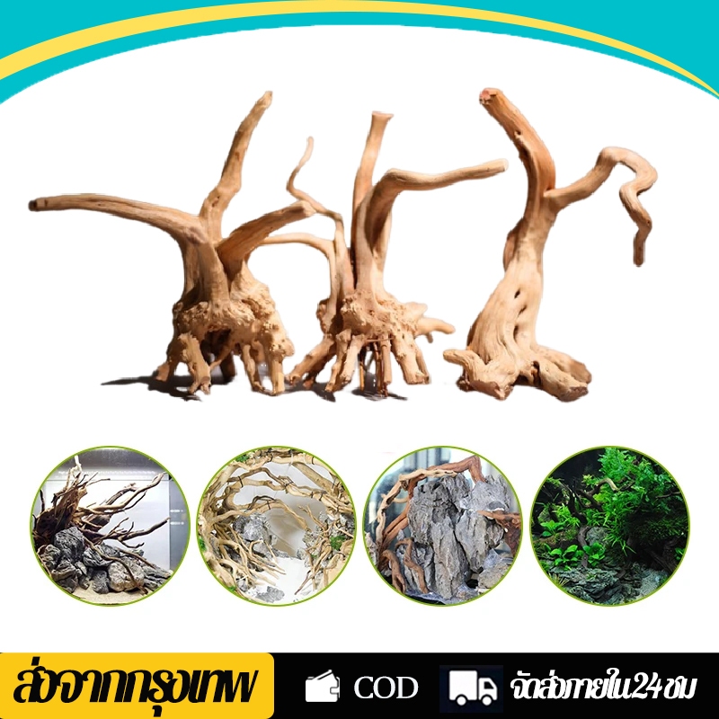 รากไม้แต่งตู้ปลา Driftwood ขอนไม้ รากไม้ ธรรมชาติ ไม้ตู้ปลา ตกแต่งกรงหนู เต่า แต่งตู้ปลา diy ให้ดูสวยงามเป็นธรรมชาติ