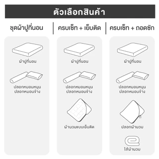 ibed ชุดผ้าปูที่นอนทอลายครบเซ็ท Softex Satin (ทอลายริ้ว) 3.5 ฟุต,5 ฟุต,6 ฟุต - STRIPED COLLECTION