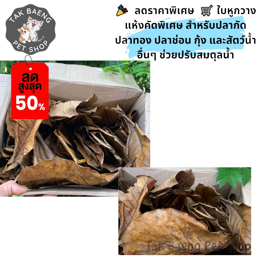 ลดราคาพิเศษ ใบหูกวางแห้ง คัดแต่ใบสวยๆ สำหรับปลากัด ปลาทอง ปลาช่อน กุ้ง และสัตว์น้ำอื่นๆ