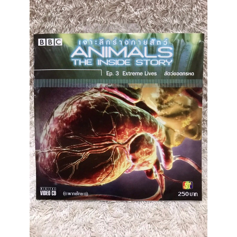 VCD Movie BBC Animals The Inside Story. (Language Thai)(Knowledge). วีซีดีหนัง สุดยอดสารคดีบีบีซี เจ