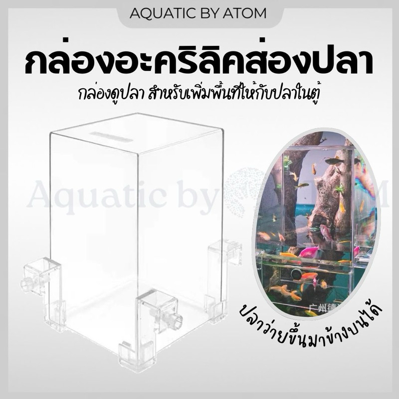 (พร้อมส่ง) กล่องอะคริลิคส่องปลา กล่องส่องปลา กล่องดูปลา สำหรับเพิ่มพื้นที่ให้กับปลาในตู้