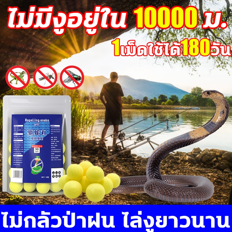 ไม่มีงูในรัศมี 10000ไมล์ ยาไล่งู มีประสิทธิภาพ180วัน ไม่มีสารเคมี กำมะถันไล่งู ใช้ง่าย ผงไล่งู สารไล่งู ก้อนไล่งู