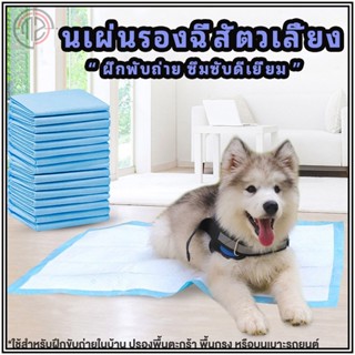 แผ่นรองฉี่สัตวเลี้ยง ซึมซับดีเยี่ยม แผ่นฝึกขับถ่าย แผ่นรองฉี…
