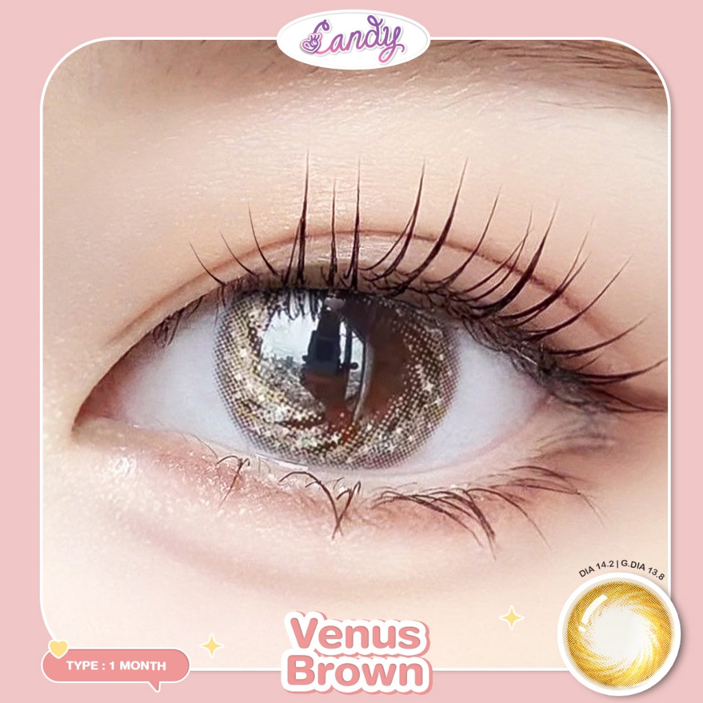 Candylens คอนแทคเลนส์ รุ่น Venus น้ำตาล พร้อมส่งแบบปกติ และค่าสายตาสั้น 0.00-7.00