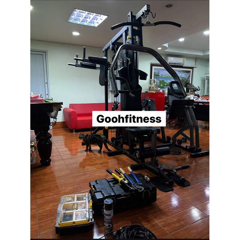 สายสลิงเครื่องออกกำลังกาย horizon torus 5