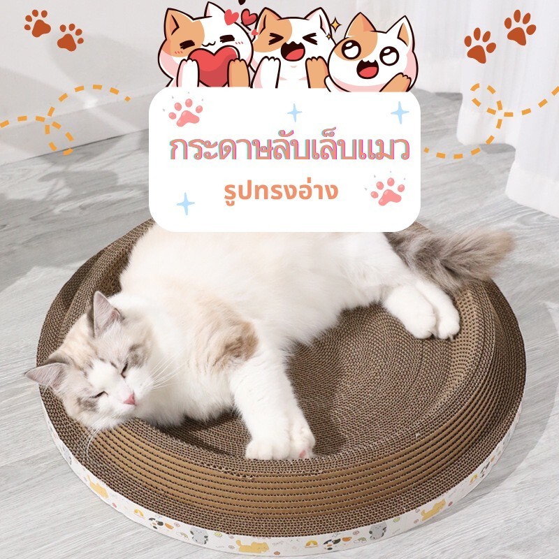 ที่ฝนเล็บน้องแมว แบบอ่างกลม ที่ลับเล็บแมว ขนาดใหญ่มาก C10
