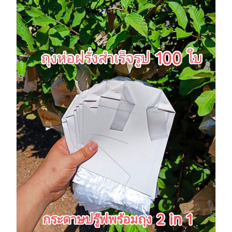 ถุงห่อฝรั่งสำเร็จรูปกระดาษปรู๊ฟ ถุงด้านในเจาะรูเเล้ว ใช้ได้ 2 เเบบ สะดวก กันฝน กันเเดด ได้ดีมาก ขนาด 6x12