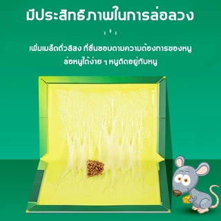 แผ่นกาวดักหนู กาวดักหนู เหนียวพิเศษ ไม่มีพิษ ไม่มีกลิ่นไม่ กันน้ำ และกันความชื้น กำจัดหนูในบ้าน