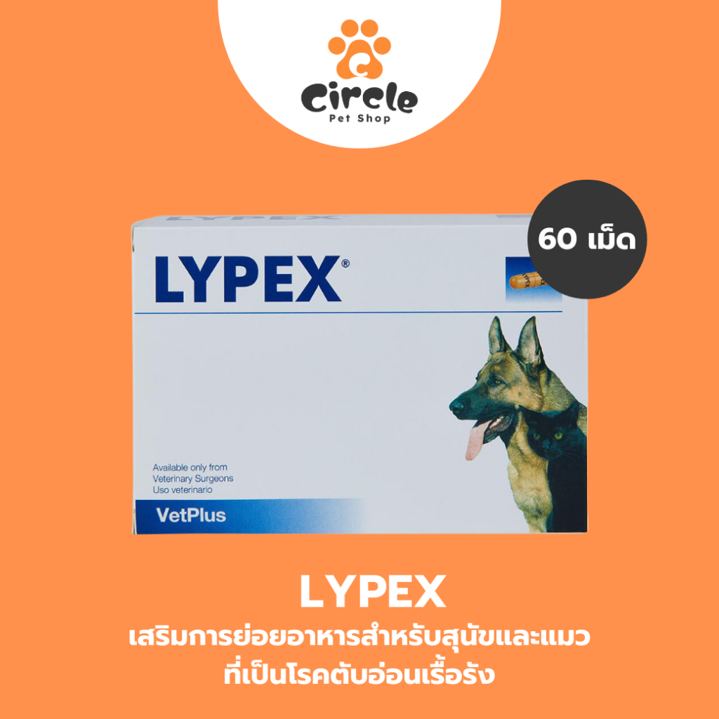 [สินค้าขายดี] Lypex ไลเป็กซ์ เสริมการย่อยอาหารสำหรับสุนัขและแมวที่เป็นโรคตับอ่อนเรื้อรัง