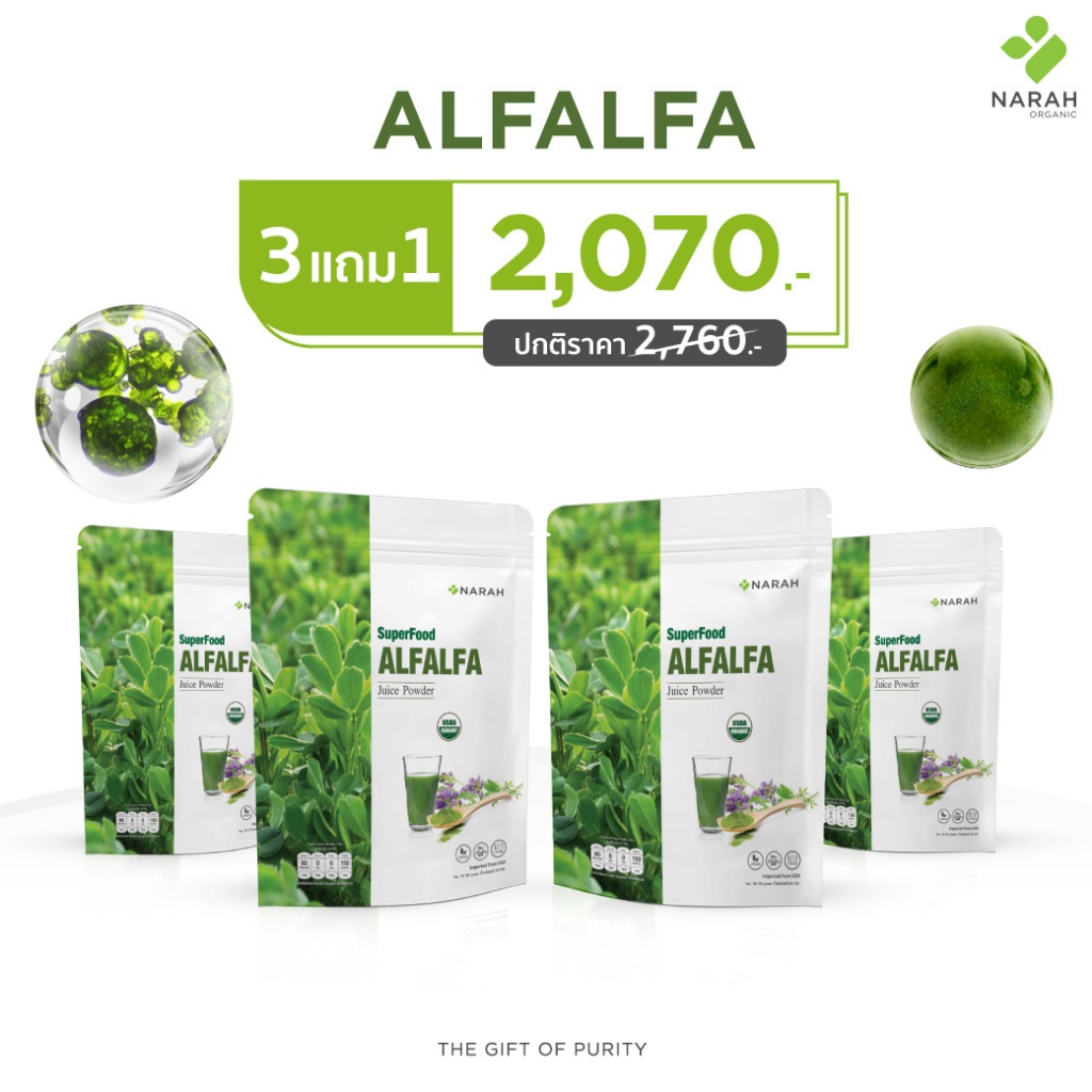 NARAH (นราห์) ALFALFA Juice Powder น้ำผักอัลฟัลฟ่าคั้นสดเข้มข้น (ชนิดผง) มีคลอโรฟิลล์ 3 แถม 1