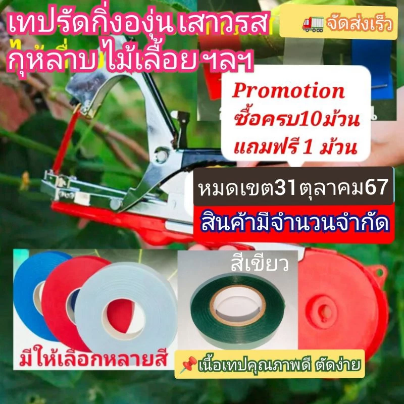 เทปรัดกิ่งองุ่น กุหลาบ แบร็คเบอรี่เสาวรสฯลฯ1ม้วน ยาว30เมตร📌ปิดโปรโมชั่นไม่มีแถม⭐เทปเหนียวได้มาตรฐานการผลิต ใช้กับเครื่อง