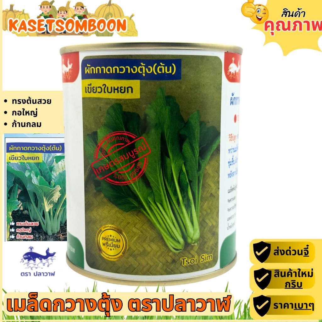 กวางตุ้งเขียวใบหยก เมล็ดพันธุ์ 500 กรัม ตราปลาวาฬ ราคา ถูกที่สุด ดีลบีเคเค