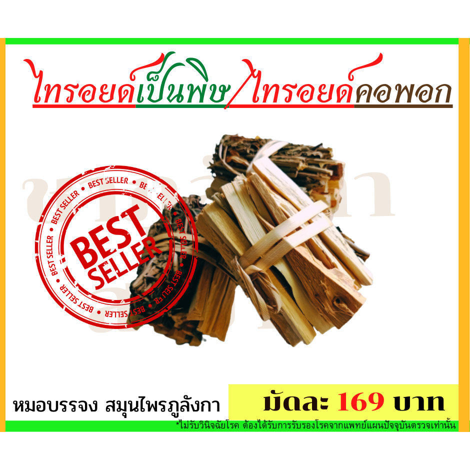 สมุนไพร ไทรอยด์ คอพอก ไทรอยด์เป็นพิษ (สูตรหมอบรรจงภูลังกา**)
