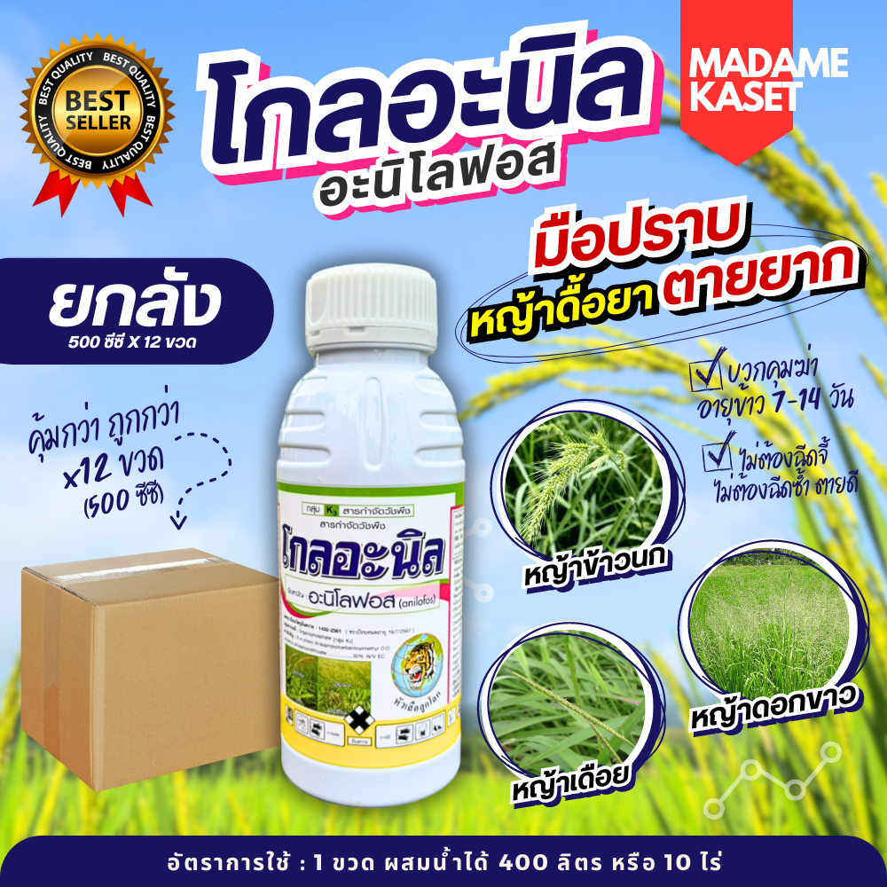 ยกลัง x12 ขวด | โกลอะนิล (อะนิโลฟอส) แก้ปัญหาหญ้าดื้อยาทุกชนิด 500 ซีซี