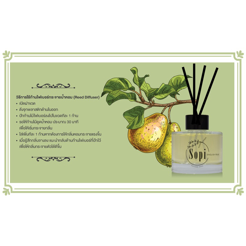 English Pear Reed Diffuser by Sopi 100ml ก้านไม้หอมปรับอากาศ Sopi กลิ่น English Pear ปริมาณ 100 มล.