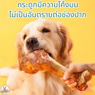 กระดูกสุนัขแทะ กระดูกข้อขาวัว แท้ 100% ขนมขัดฟันสุนัข มี 2 ขนาด (M 80-120 g) (L 120-150 g)