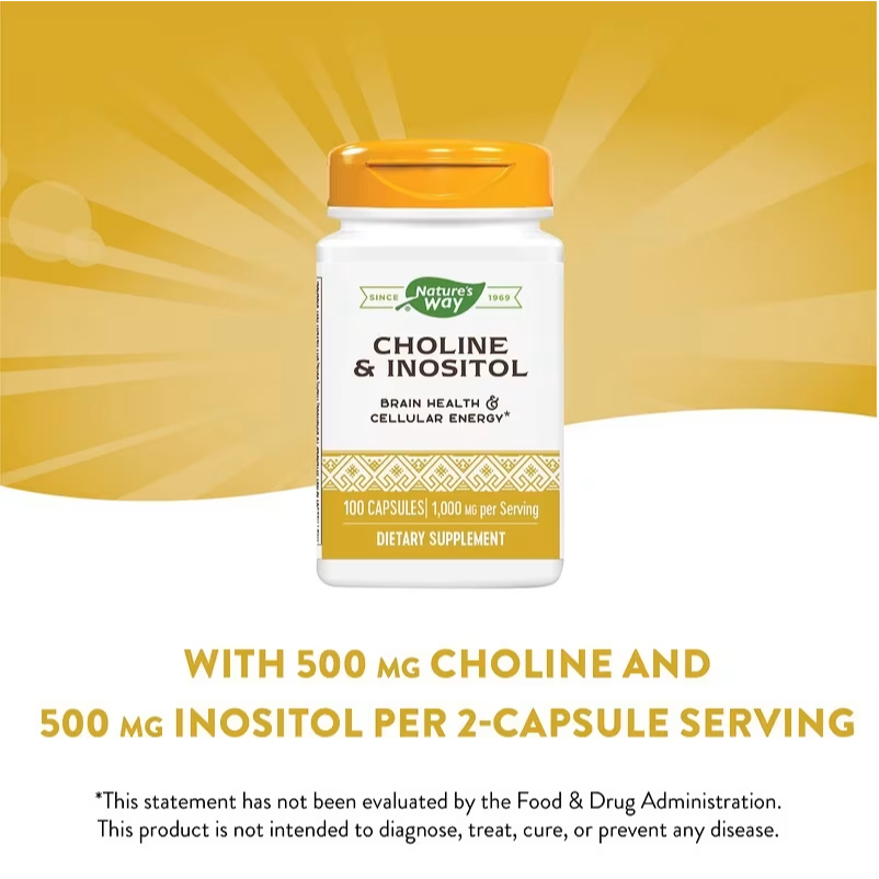 พร้อมส่ง Nature's Way, Choline & Inositol, 1,000 mg, 100 Capsules