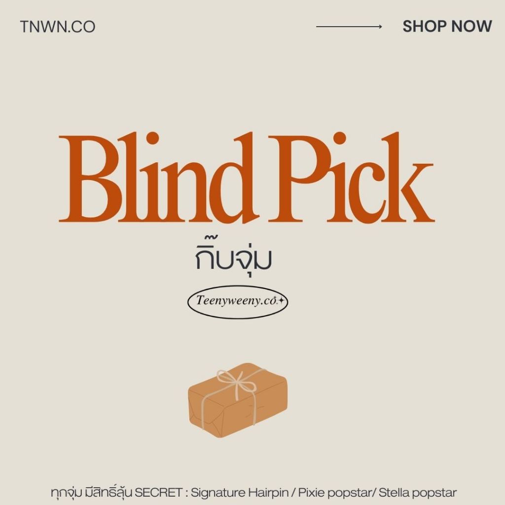 Teenyweeny.co Blind Pick* กิ๊บจุ่ม For Festive season 1 จุ่ม = 7 คู่+ชิ้น คละ มูลค่าเกินราคาทุกจุ่ม กิ๊บสุ่ม