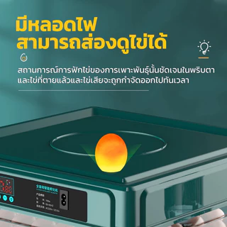 PPD ตู้ฟักไข่อัตโนมัติ 48/64/130 ฟอง เครื่องฟักไข่ ตู้ฝักไข่ไก่ เครื่องฟักไข่อัตโนมัติ ตู้ฟักไข่ราคาถูก ตู้ควบคุมอุณหภูม