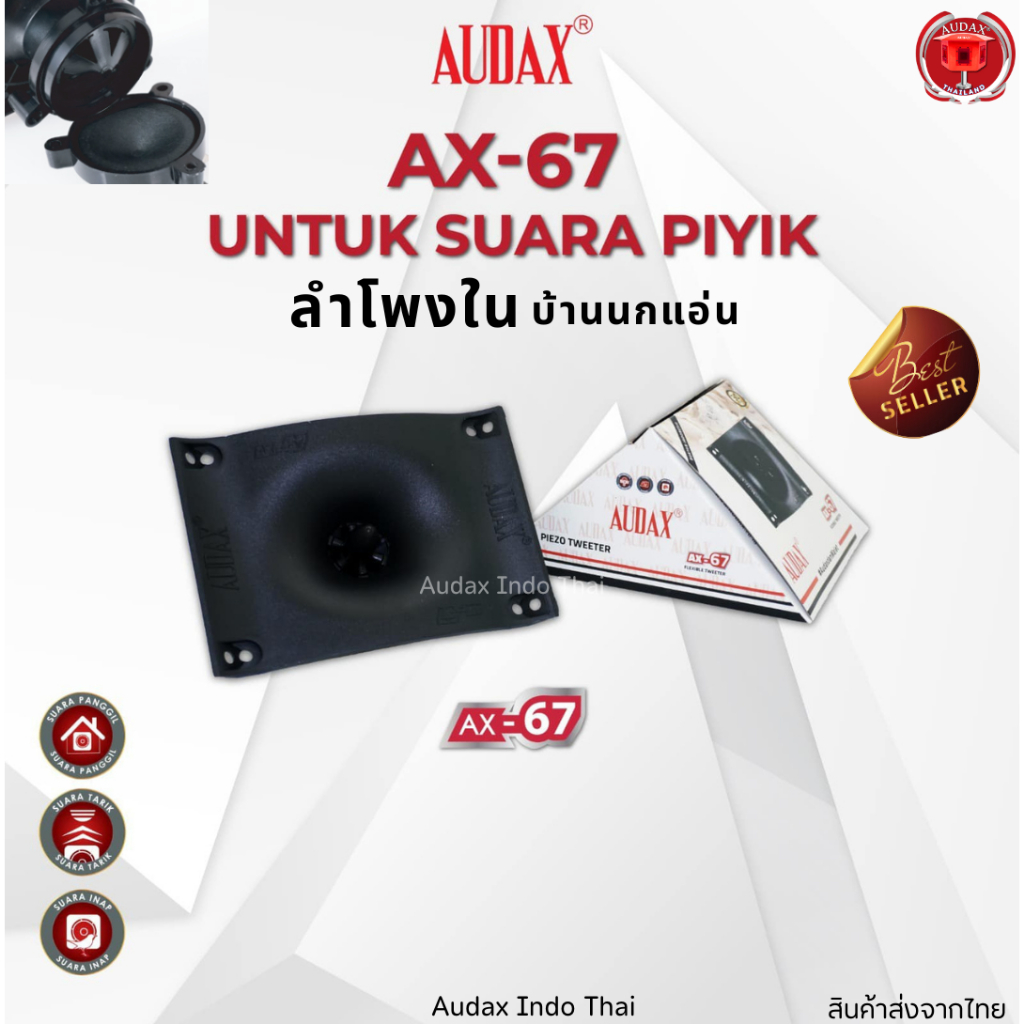 Audax AX-67 ลำโพงนอกบ้านนกแอ่น รังมุมมีศักยภาพที่จะกลายเป็นรังรูปไข่