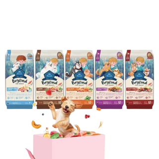 Buzz Beyond Dog อาหารสุนัข เกรดพรีเมี่ยม กลูเตนฟรี ขนาด 1-1.2 kg