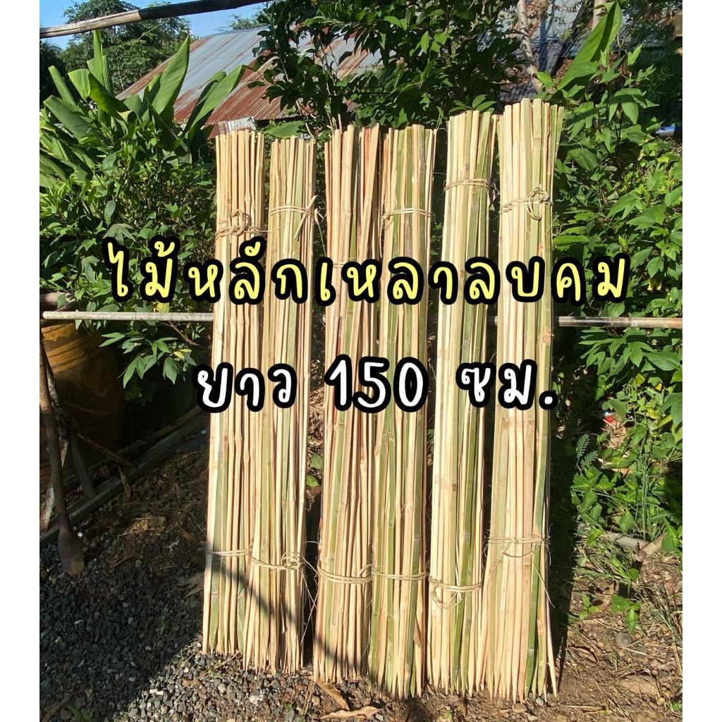 ไม้หลักเหลาลบคม ยาว 150 ซม. แข็งแรง ปลายแหลม