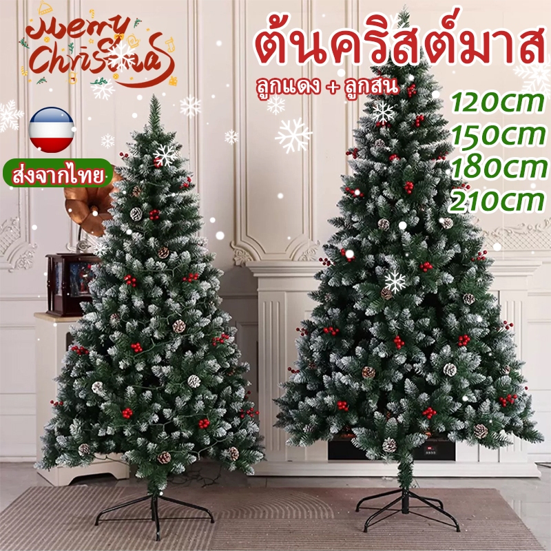 [ส่งจากไทย] ต้นคริสต์มาส ขนาด 120cm 150cm 180cm 210cm มตกแต่งลูกบอลสีแดงและโคนสน Christmas Tree ต้นคริสต์มาสปลอม
