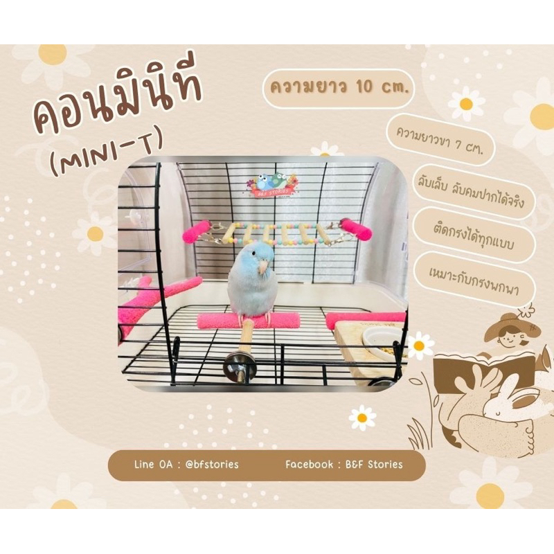 🐣คอนมินิที🐣( Mini T )(⭐️Pre1-2วันนะคะ)