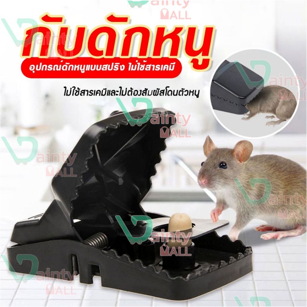 กับดักหนู อุปกรณ์ดักหนูแบบสปริง ไม่ใช้สารเคมีและไม่ต้องสัมผัสโดนตัวหนู D43