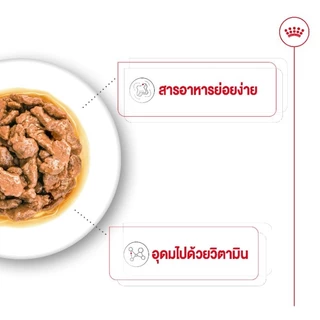 ROYAL CANIN MINI ADULT อาหารสุนัขโตแบบเปียก 12ซอง
