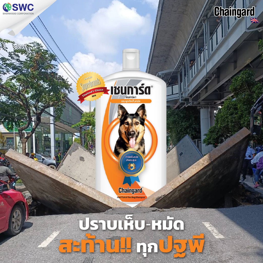 [ยกลัง 12 ชิ้น] Chaingard เชนการ์ด 1 ผลิตภัณฑ์สำหรับสุนัขพันธุ์ใหญ่ทุกสายพันธุ์ ขนาด 350 มล. - รูปที่ 4