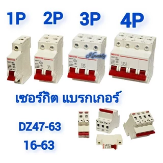Circuit Breaker 16A - 63A DZ47 1P/2P/3P/4P เซอร์กิตเบรกเกอร์