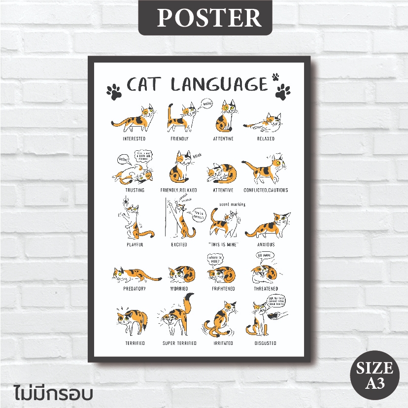 โปสเตอร์แมว ท่าทางแมวสื่ออารมณ์ เพื่อทาสแมว Poster cat ตกแต่งห้อง คาเฟ่ ร้านค้า (A3)
