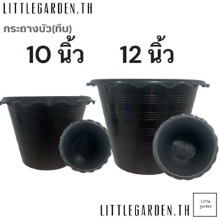 กระถางบัว(ทึบ) 10 นิ้ว 12 นิ้ว สีดำ ขอบหยัก ไม่มีรู